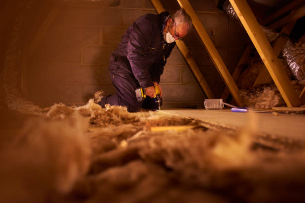 Eco-Friendly or Green Insulation Solutions in Whitesboro, AL